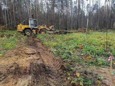 Дорога к поликлинике - 2.jpg